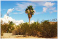 Goodyear Chiropractic Chiropractor in Goodyear