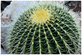 Laveen Chiropractic Chiropractor in Laveen