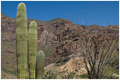 North Scottsdale Chiropractic Chiropractors in North Scottsdale, Arizona