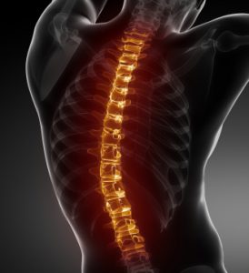 Scottsdale-Paradise Valley Chiropractic: Chiropractor Tips for Protecting Your Back